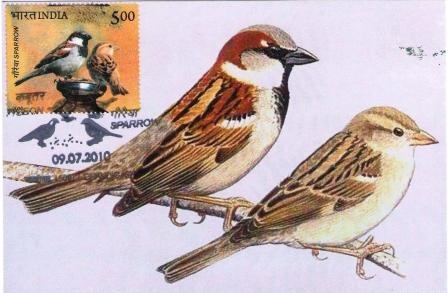 Rainbow Stamp Club: World House Sparrow Day….